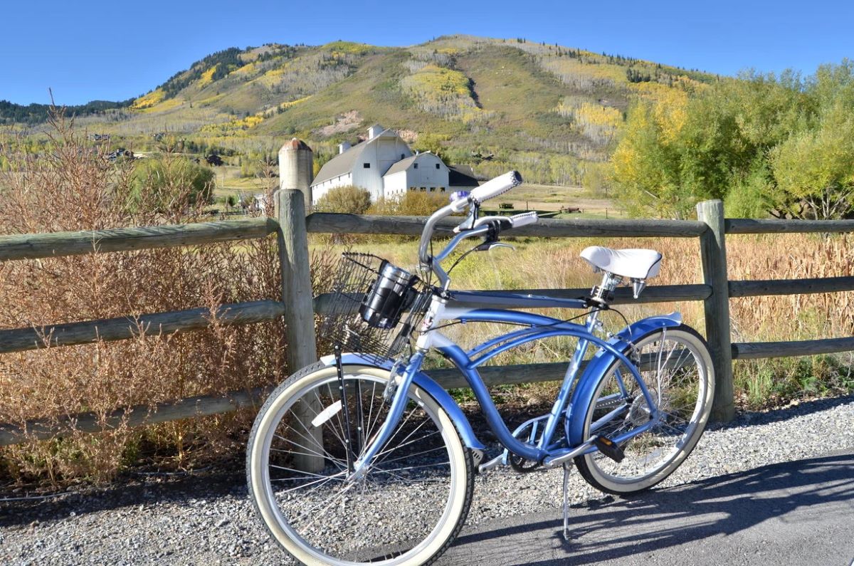 Amazing Beach Cruiser Cup Holder For Touristsecrets