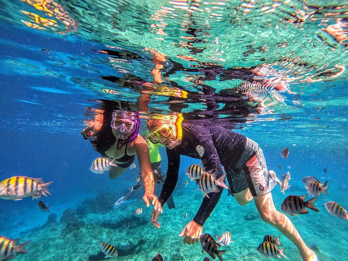 Where Is The Best Snorkeling In Cozumel Touristsecrets