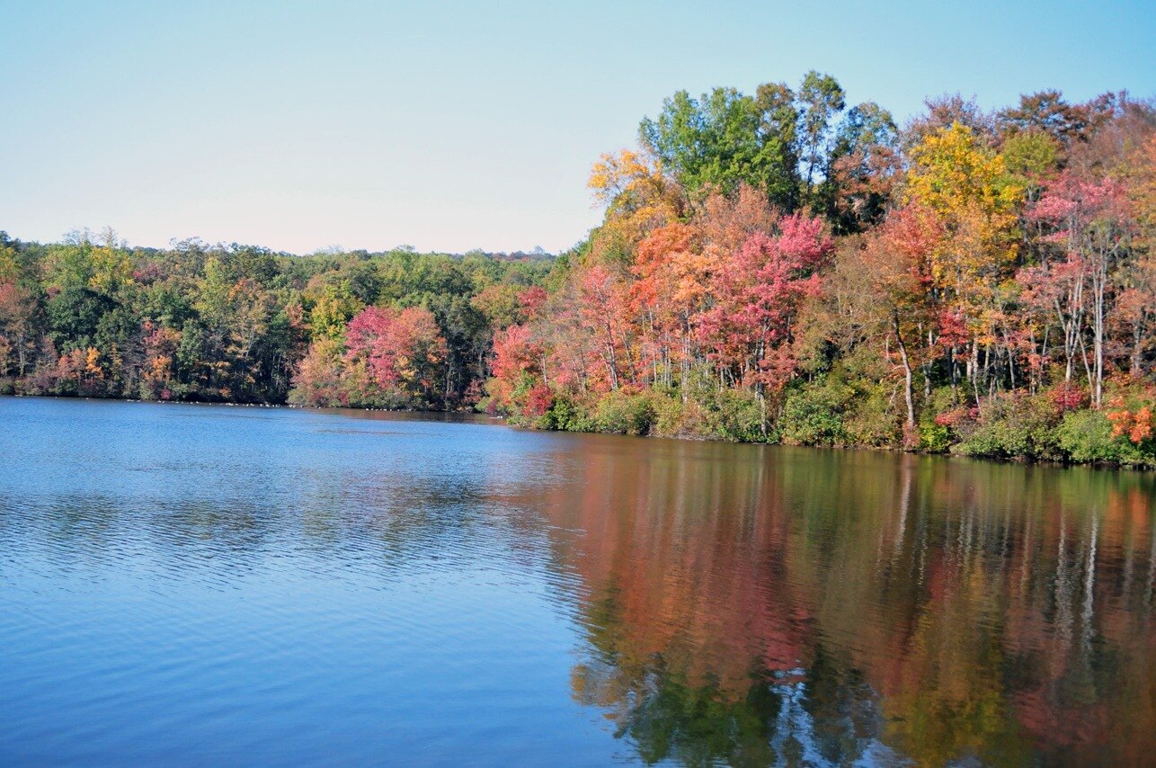 Reel In Adventure At Hopewell Lake In French Creek State Park