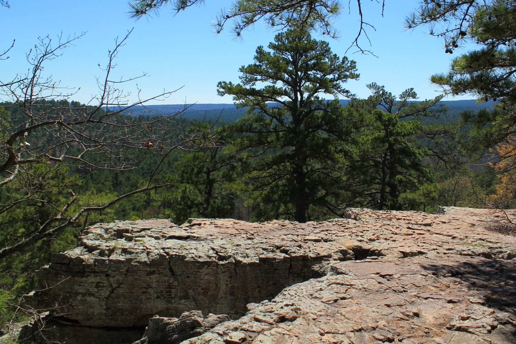 Mysteries Of Oklahoma S Parallel Forest Caves Touristsecrets