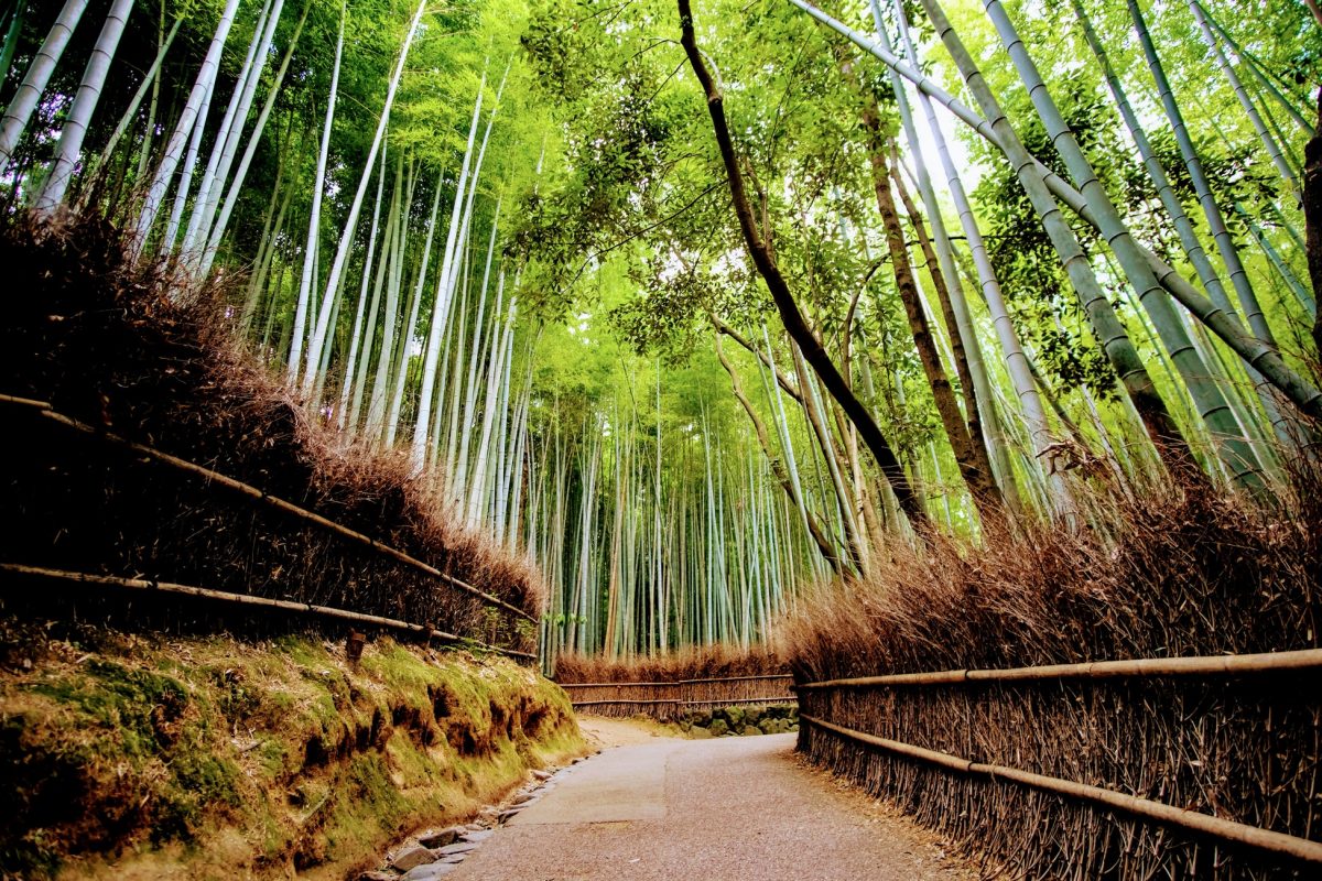 Best Things To Do In Kyoto, Japan | TouristSecrets