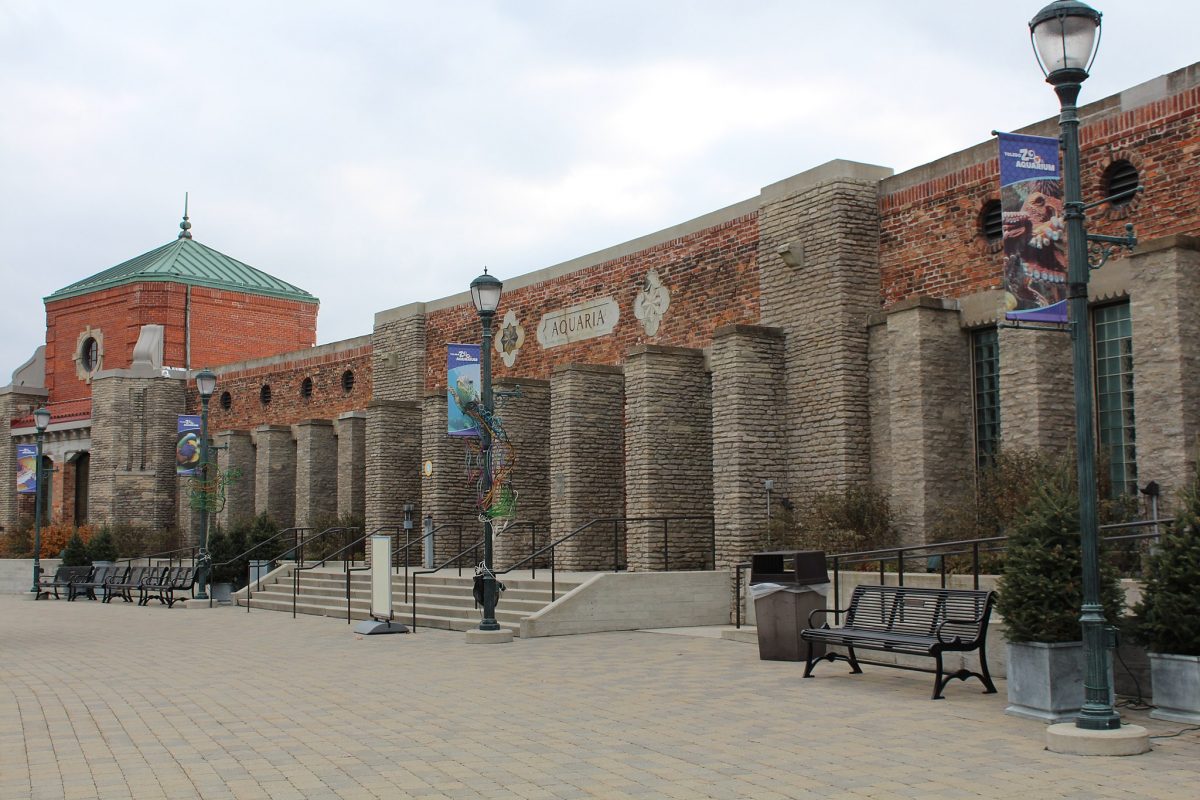 Everything You Need to Know About Toledo Zoo TouristSecrets