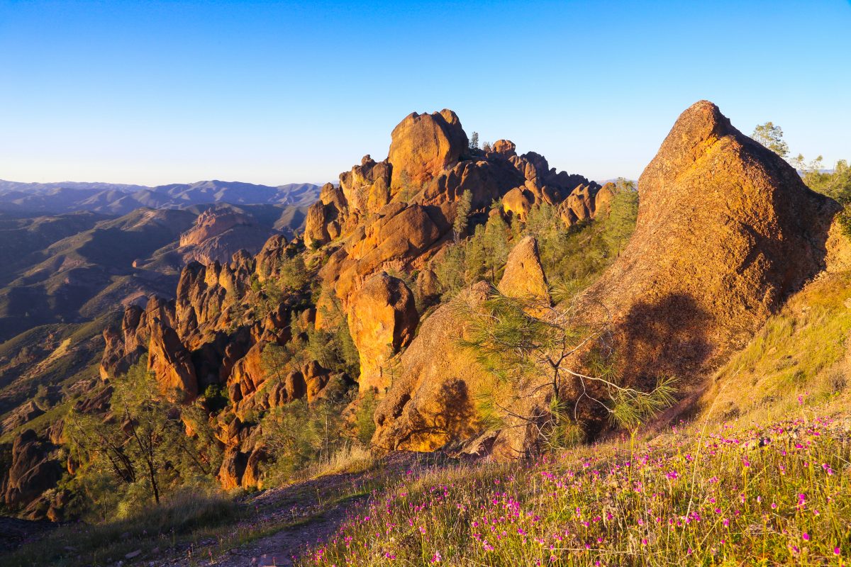 are dogs allowed in pinnacles national park