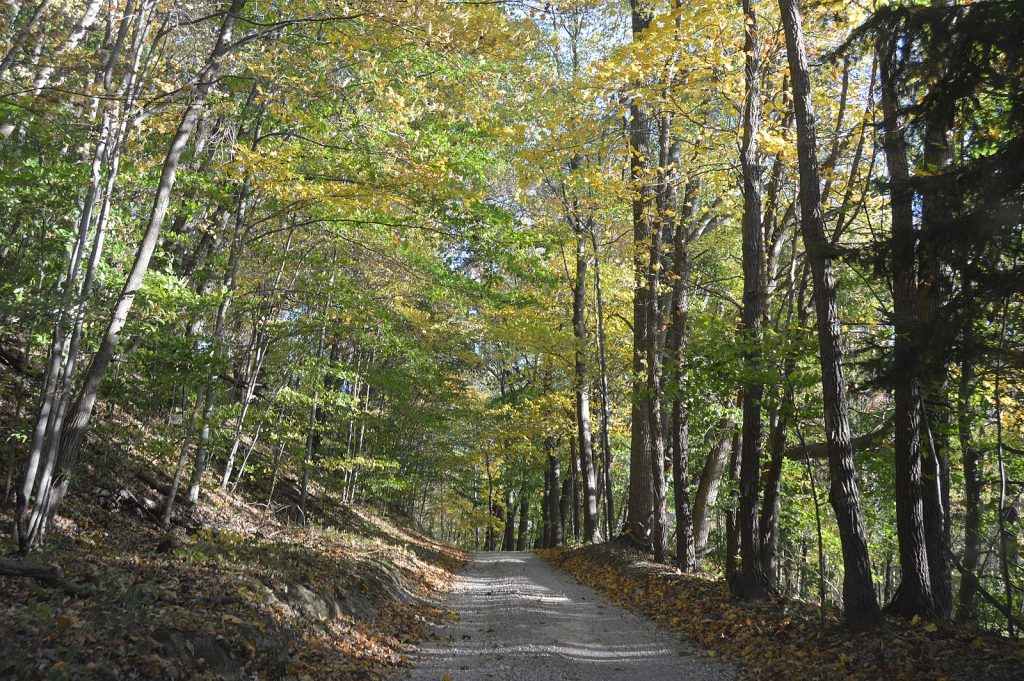 Top 10 Hiking Trails In The Ohio Wilderness | TouristSecrets