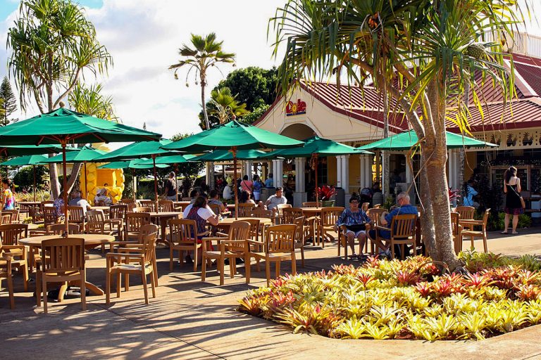 Your Guide To Visiting The Dole Plantation In Oahu Hawaii Touristsecrets