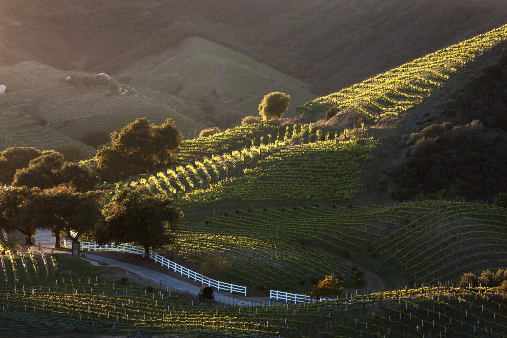 winery safari in malibu california