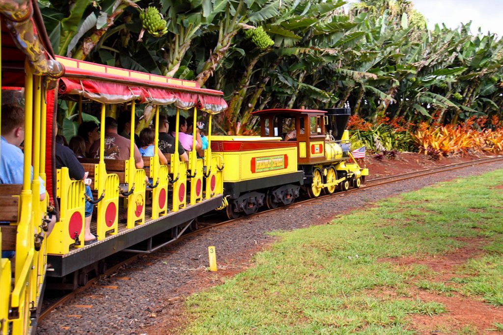 Your Guide To Visiting The Dole Plantation In Oahu Hawaii Touristsecrets