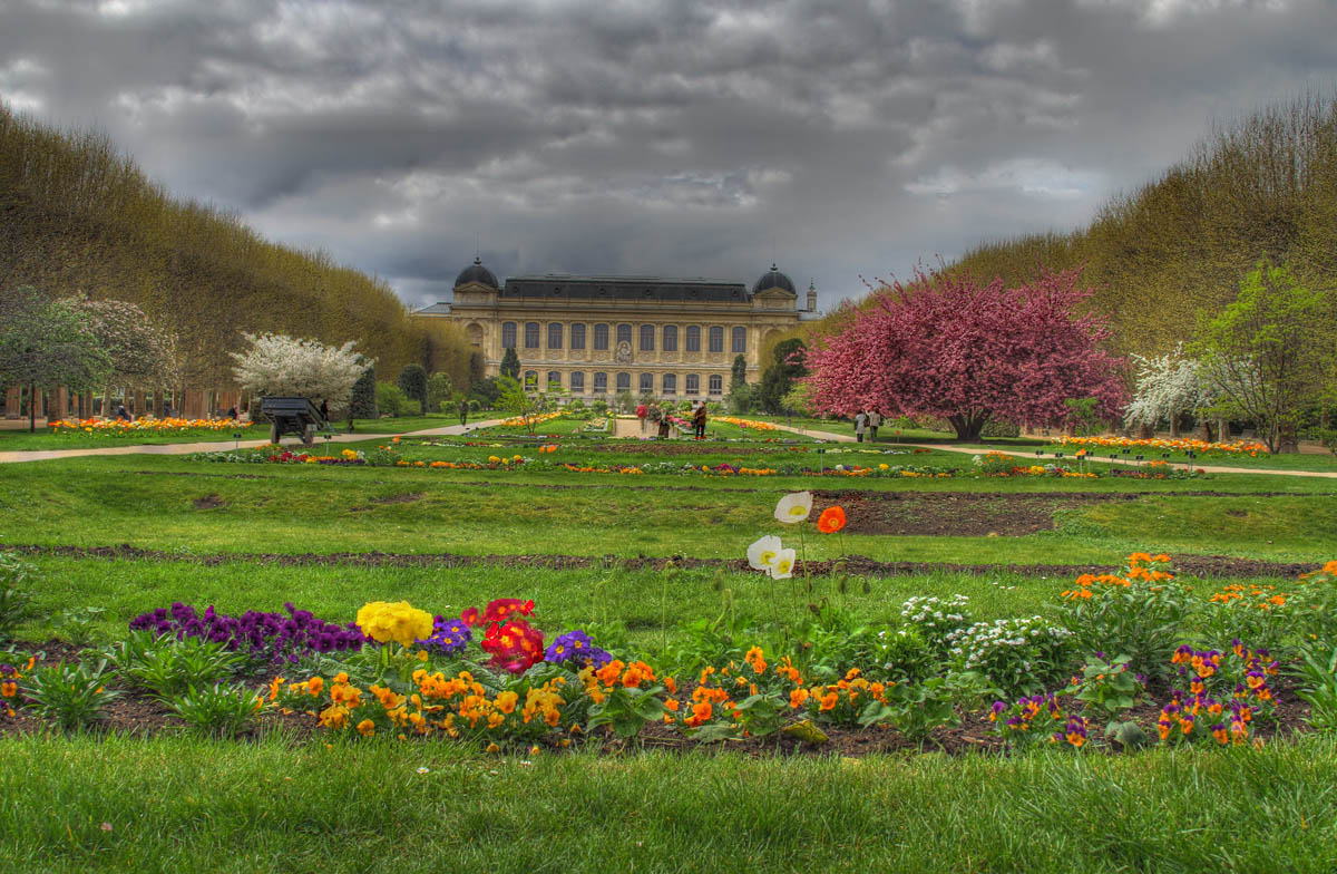 Ботанический сад в Париже Jardin des plantes