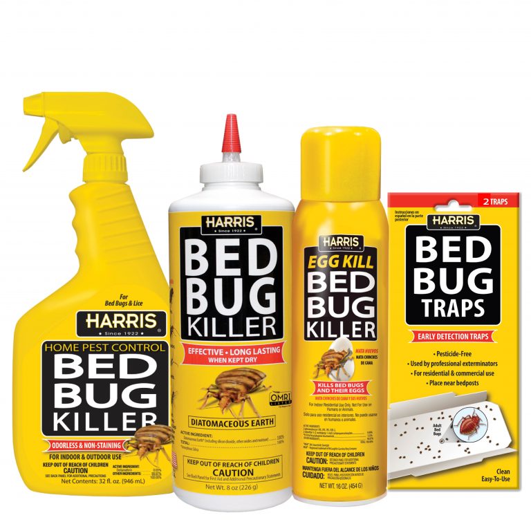 Why Do You Need Bed Bug Spray In Your Travel Kit? | TouristSecrets