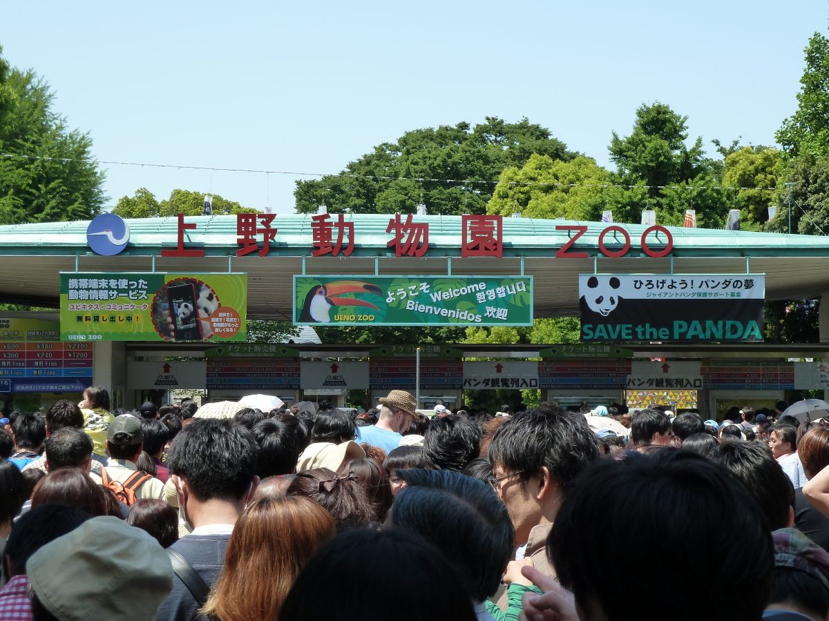 Everything You Need To Know About The Ueno Zoo | TouristSecrets