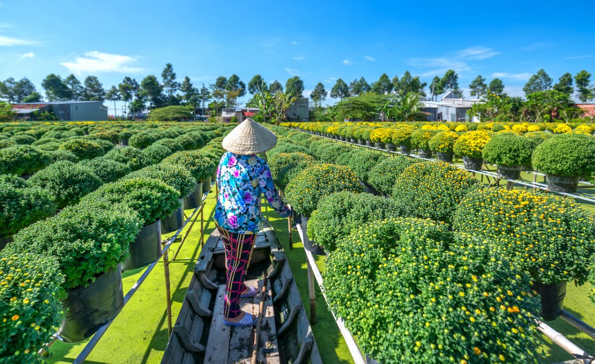 What To Expect From A Trip To Mekong Delta? | TouristSecrets