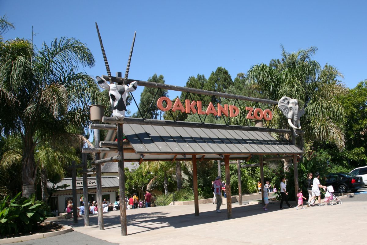 Everything You Need To Know About Oakland Zoo TouristSecrets