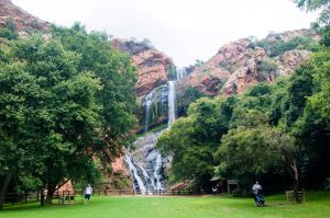 Gardens In South Africa That Everyone Must See | TouristSecrets