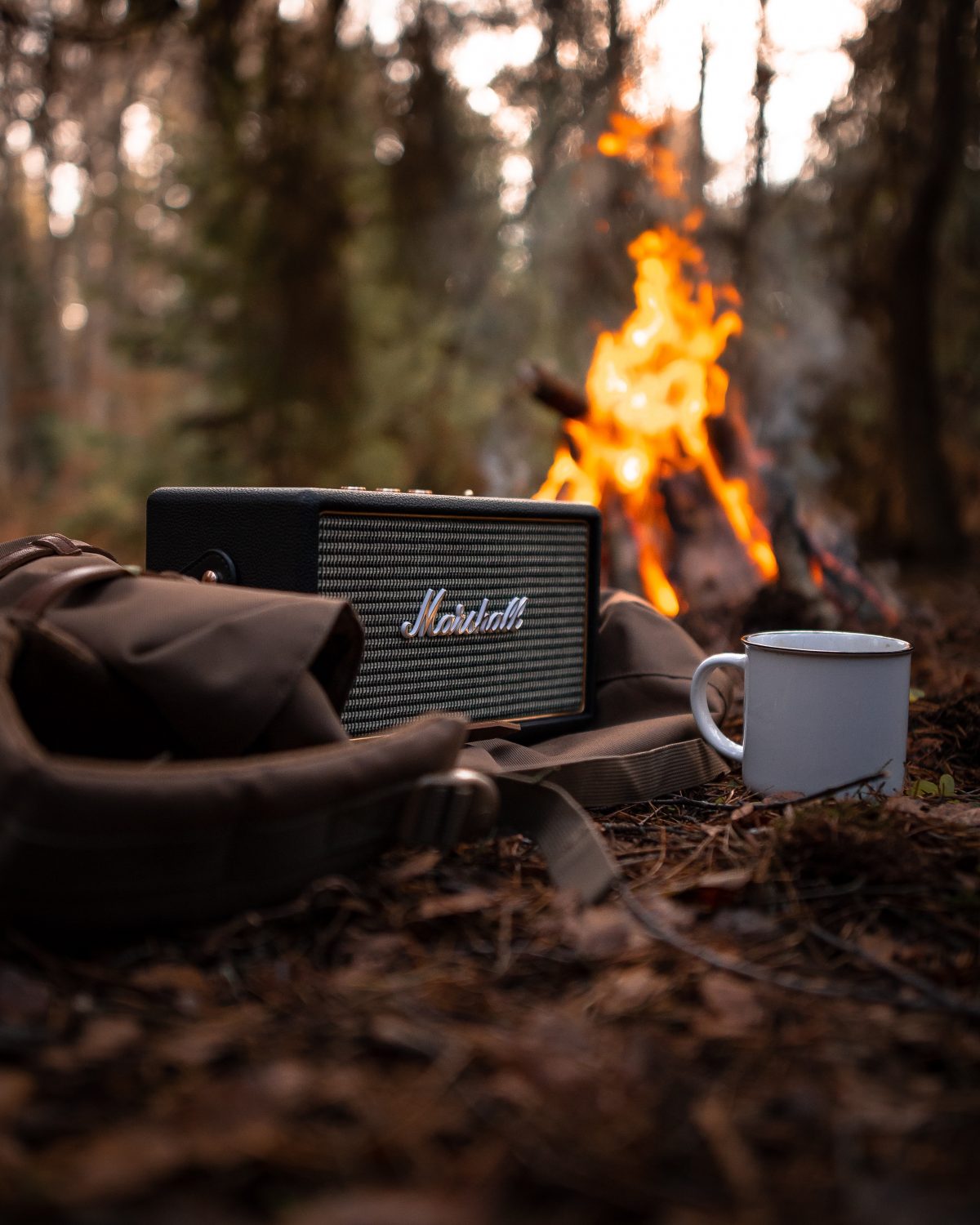 Top 5 Portable Bluetooth Speakers For 
