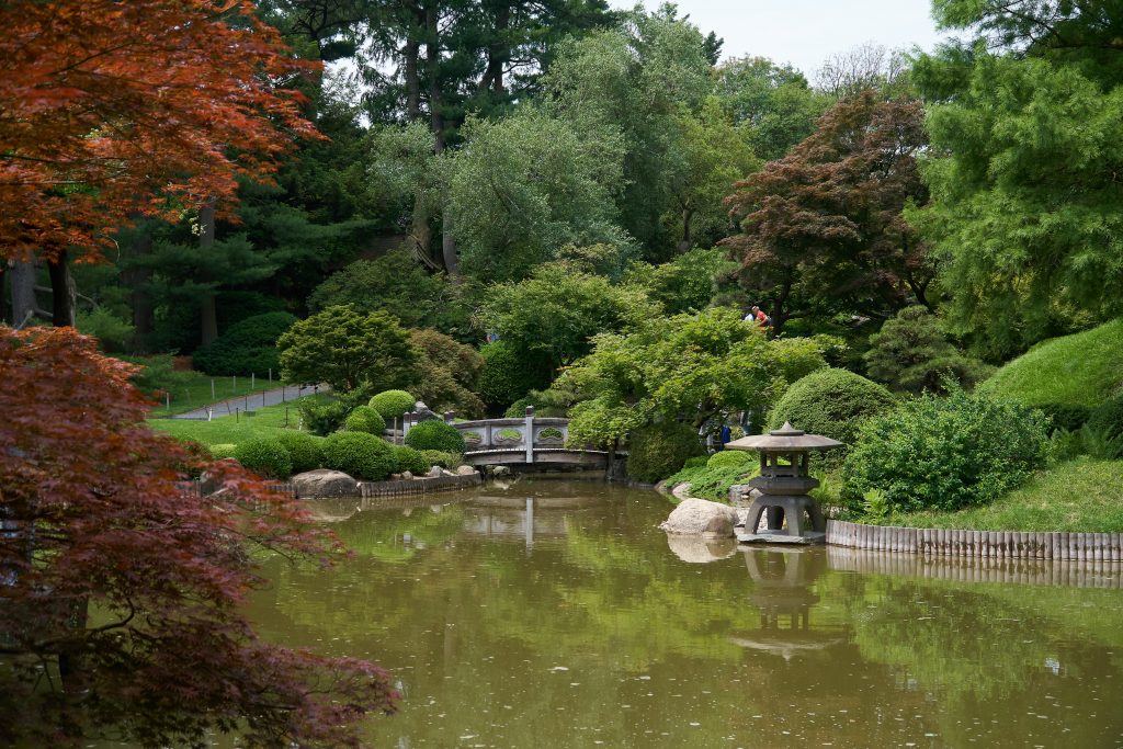 Everything You Need To Know About The Brooklyn Botanic Garden ...