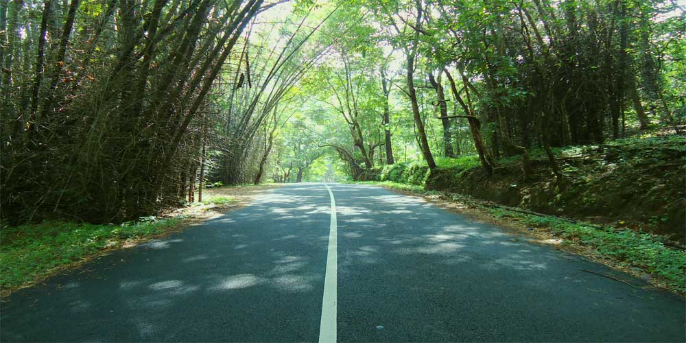 Road to the waterfalls