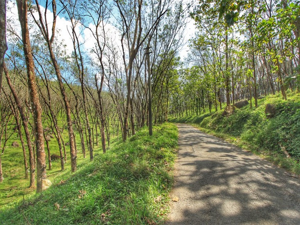 route-to-athirappally-waterfalls