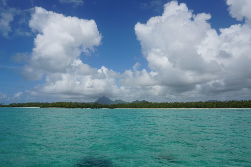 Your Guide To The Black River Gorges National Park, Mauritius 