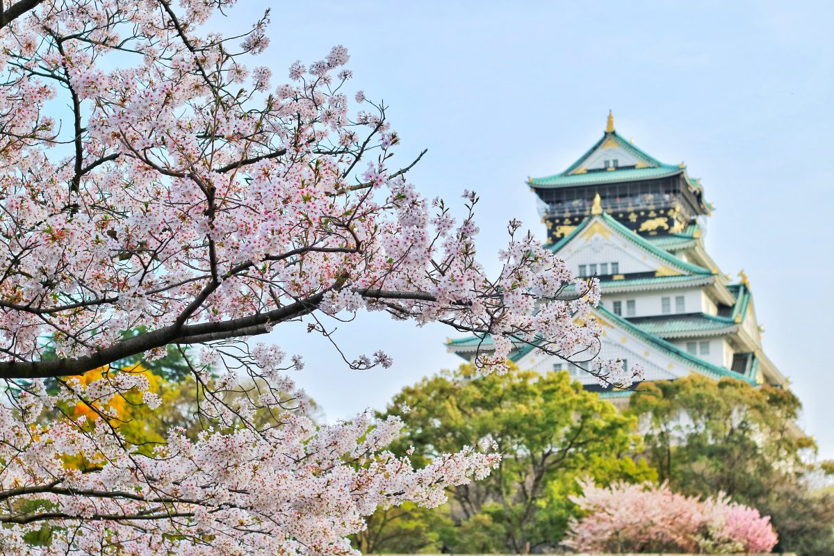 Touristsecrets Osaka Castle In Japan All You Need To Know Touristsecrets