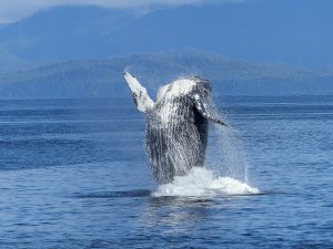 Your Complete Guide To Royal National Park, Australia | TouristSecrets