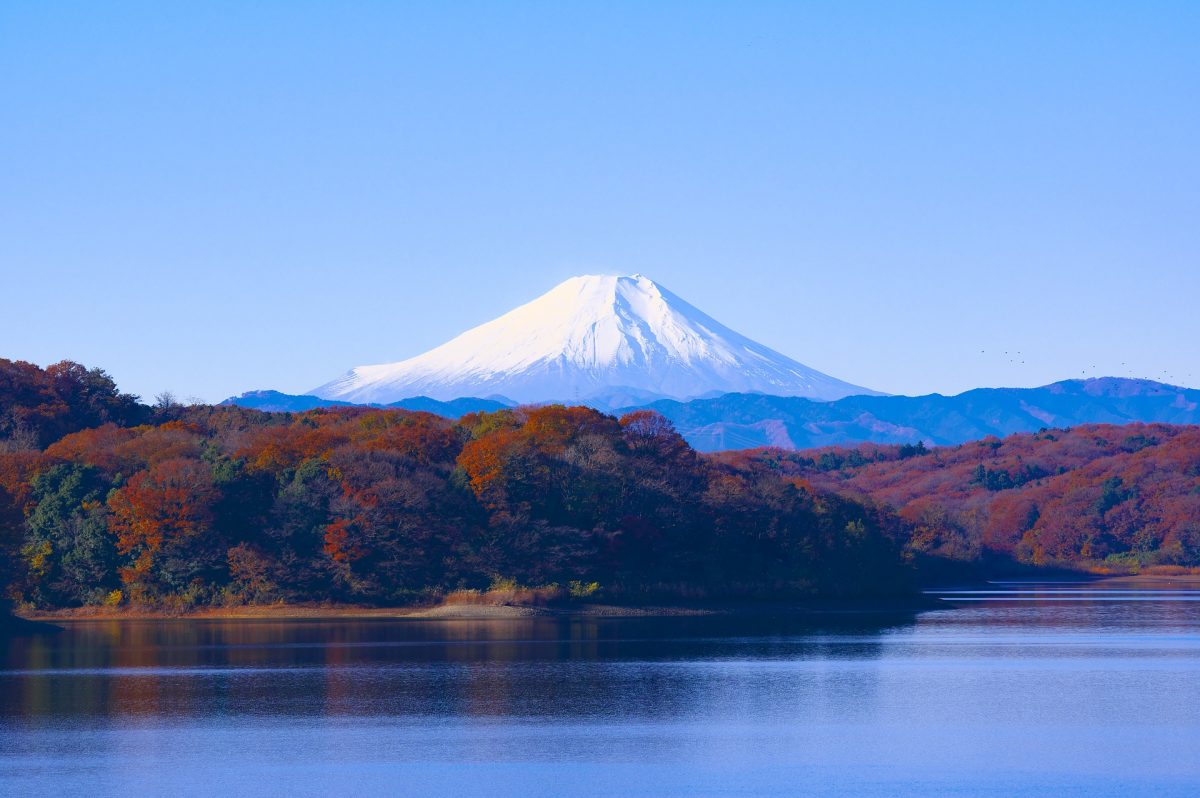 Visit The 8 Best Ski Resorts in Japan | TouristSecrets