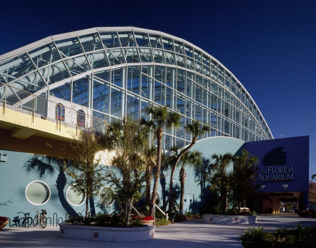 Your Complete Guide to Florida Aquarium - Lossy Page1 1280px FloriDa Aquarium In Tampa FloriDa LCCN2011634588.tif 1024x802