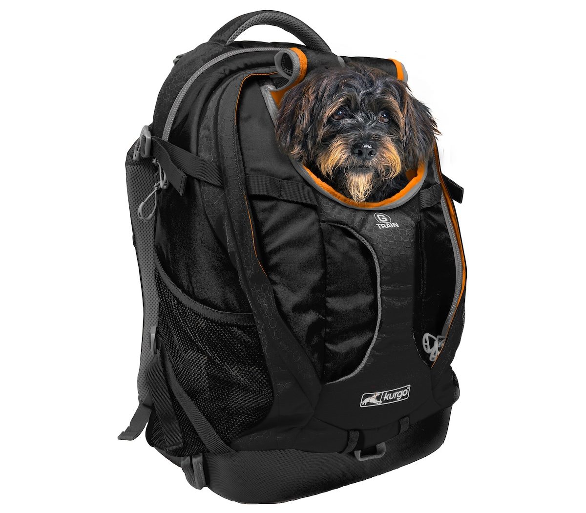 backpack with puppies