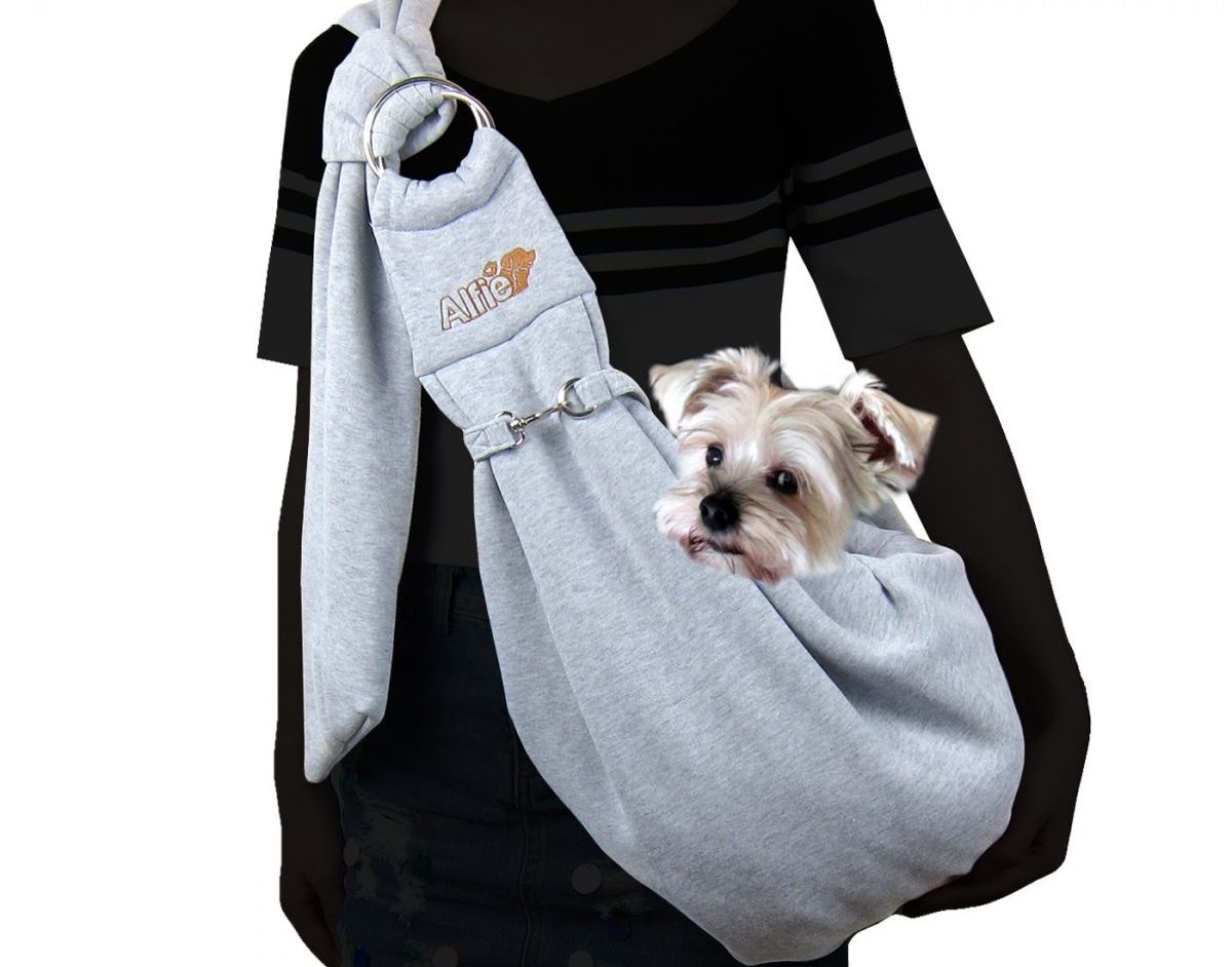 best hiking backpack for dogs