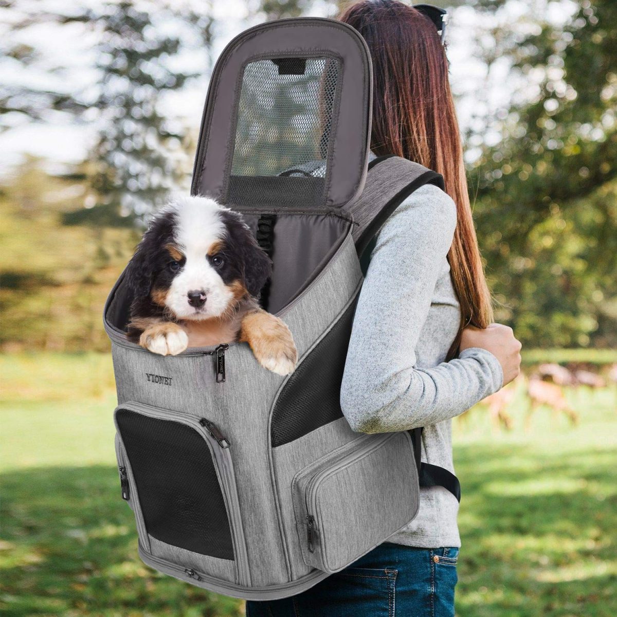 Рюкзак для переноски собак