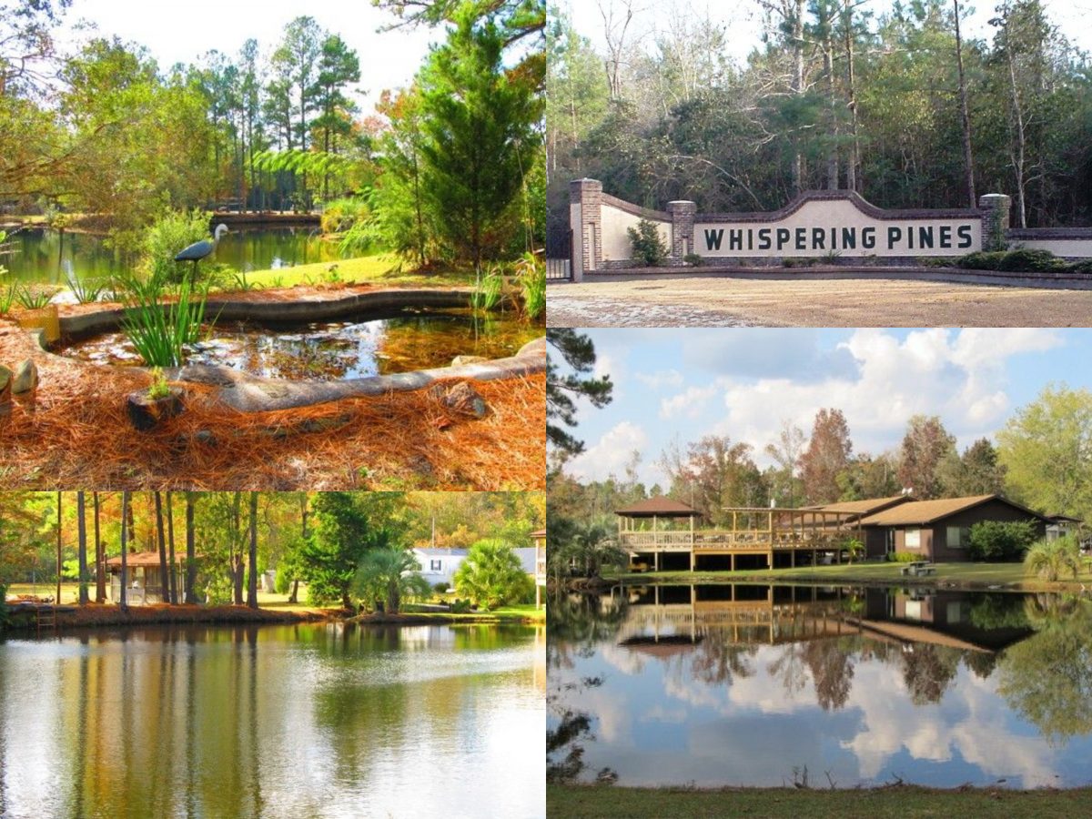 Whispering pines nudist resort