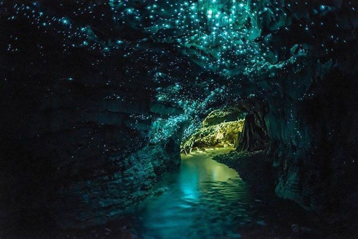 5 Hidden Caves To Spot Glow Worms In New Zealand Tourist Secrets