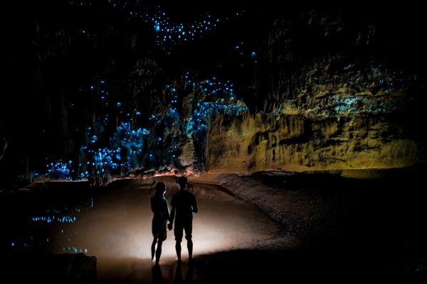 5 Hidden Caves To Spot Glow Worms In New Zealand | Tourist Secrets