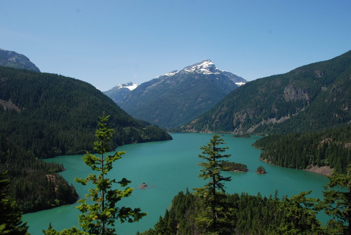 Washington State nature