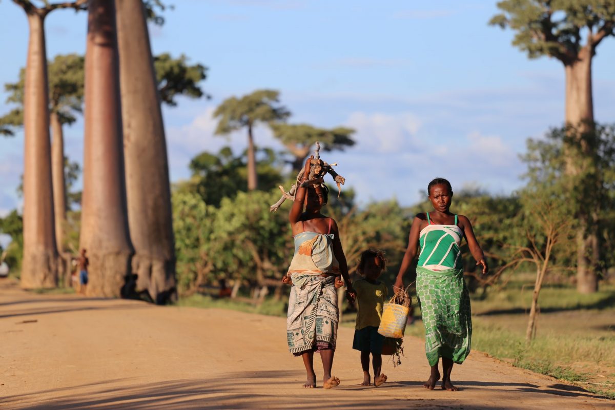 madagascar walking tour