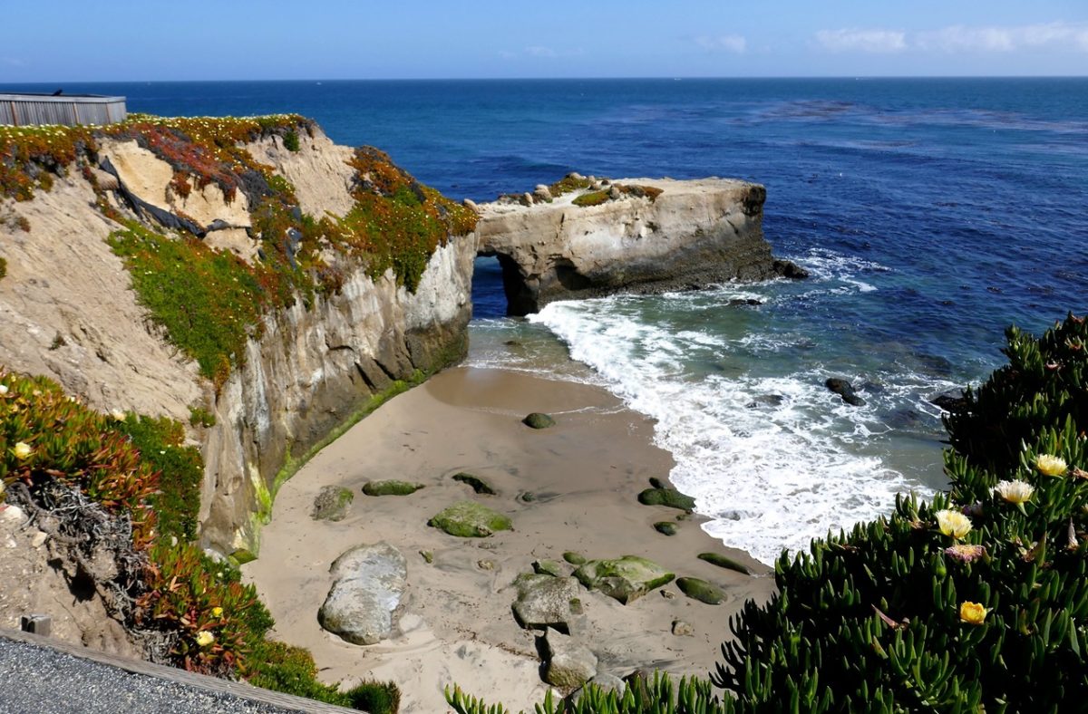 25 Fun Things to Do in Santa Cruz, California | TouristSecrets