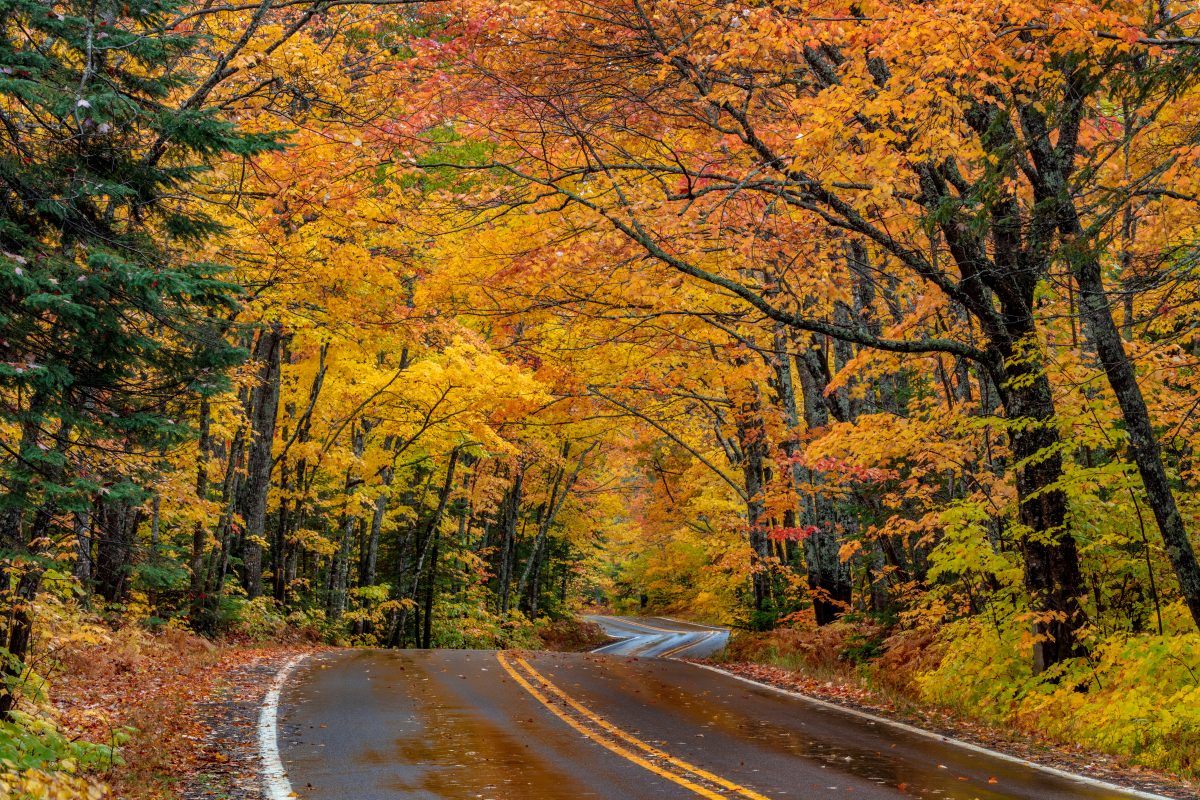 23 Best Places to See Peak Michigan Fall Colors | TouristSecrets