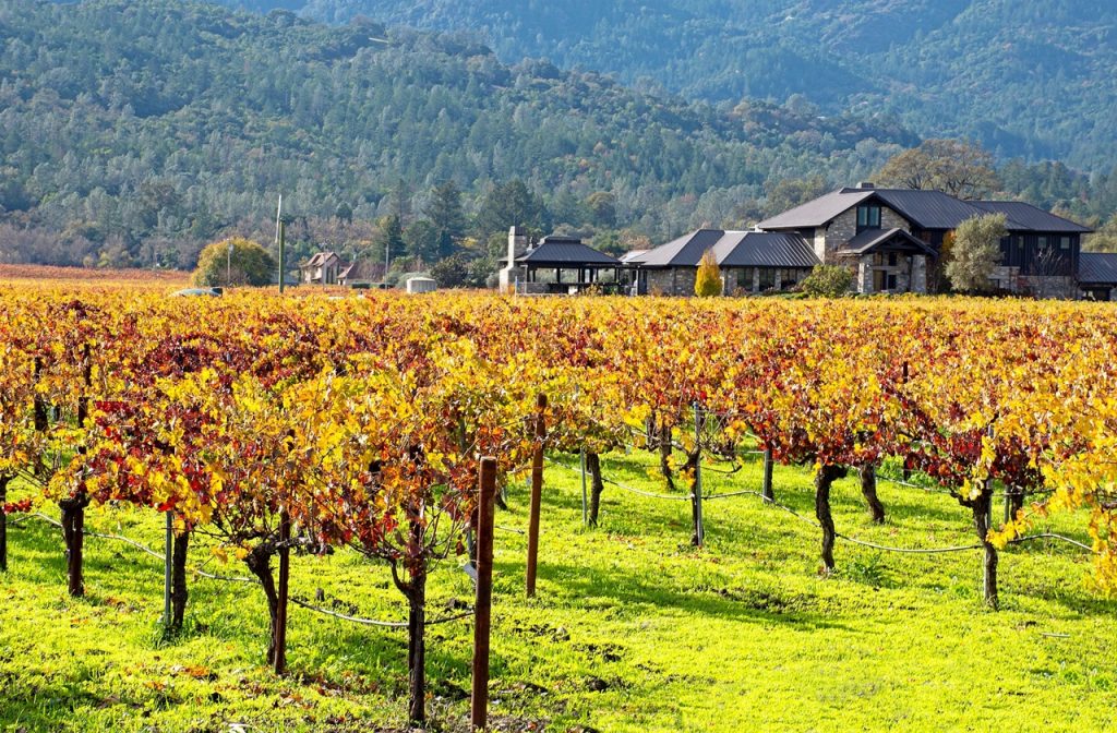 Vineyards in Napa Valley during autumn, one of the best places to visit in November in the USA for wine-lovers