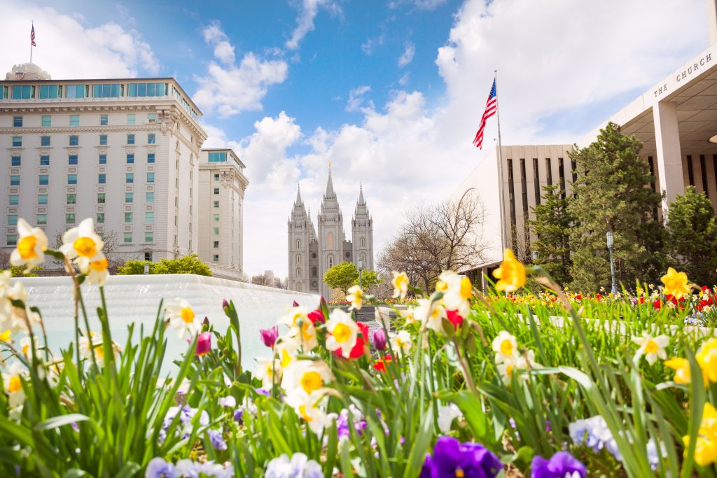 Low-angle shot of colorful flora in bloom in May with Salt Lake temple in the background.