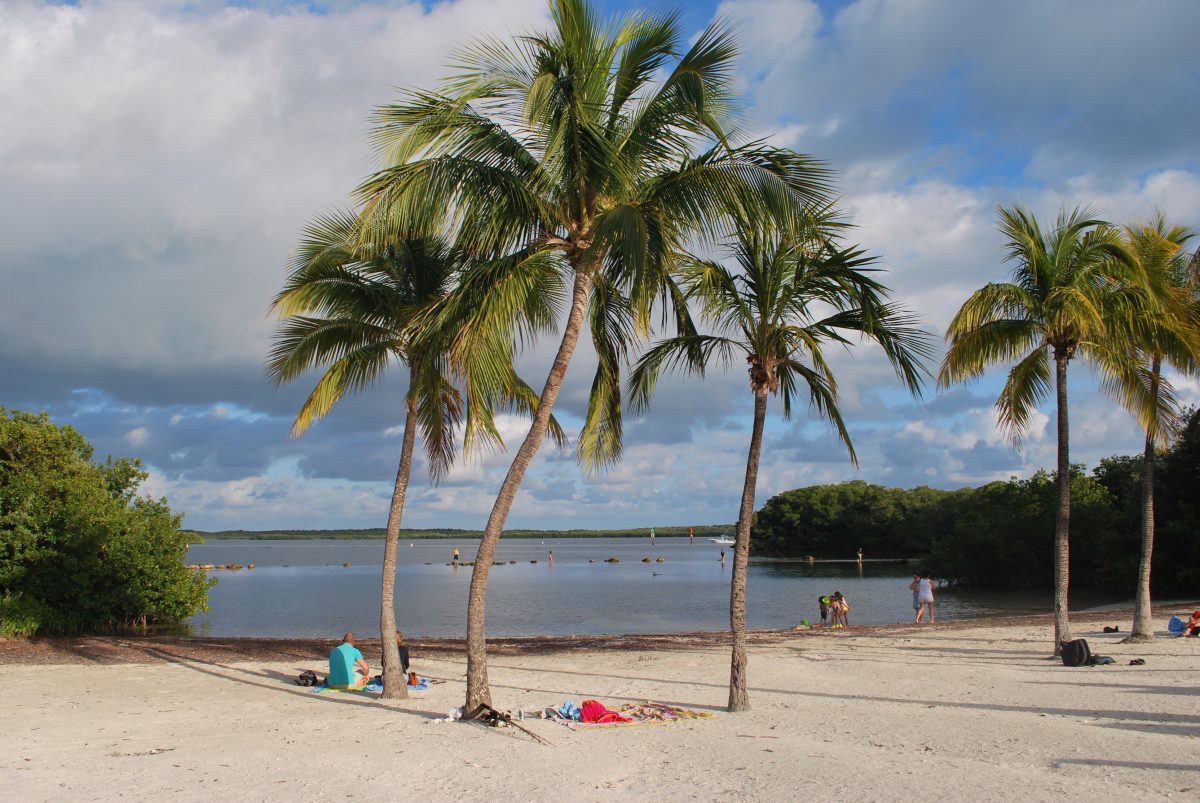 27 Best Things To Do In Key Largo | TouristSecrets