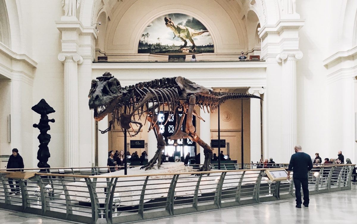 Best Natural History Museums In The Us Worth Visiting Touristsecrets 8562