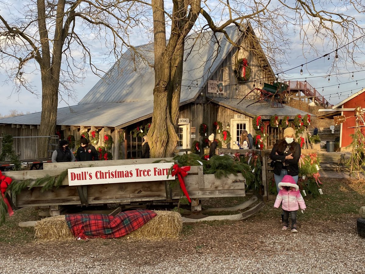 Christmas Tree Farm Near Me 