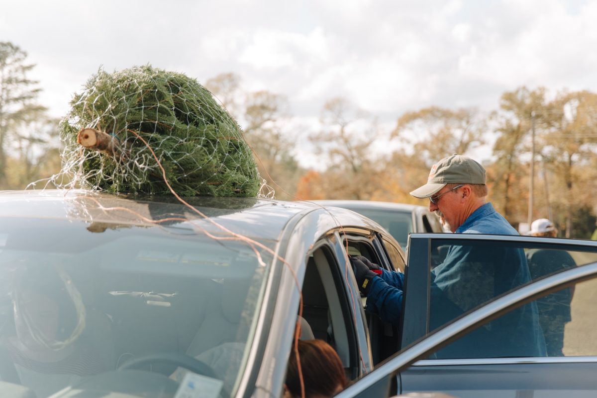 20 Best Christmas Tree Farm Near Me in the USA TouristSecrets