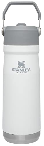 21c3wU6gU9L. SL500  - 14 Best Vacuum Insulated Water Bottle for 2024