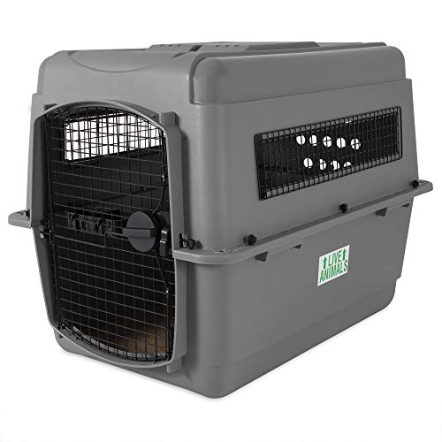 Petmate Sky Kennel Pet Carrier