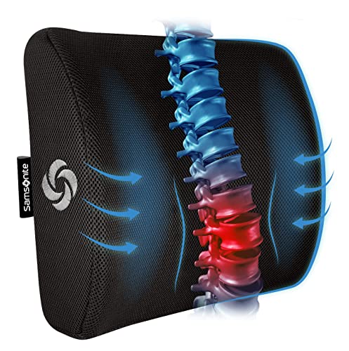 9 Amazing Samsonite Lumbar Support Cushion For 2023 TouristSecrets   512kqPK6EBL. SL500  