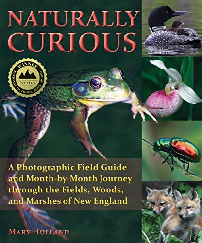 Naturally Curious Field Guide: A Journey Through New England