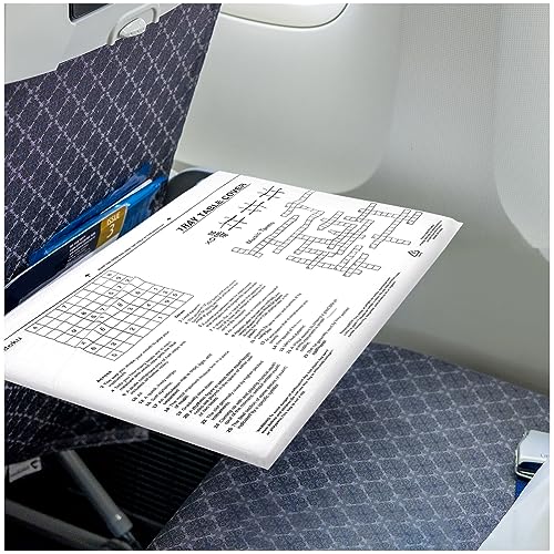 Airplane Pockets Tray Table Cover - Sanitary Cover with Pockets for  Kids/Adults
