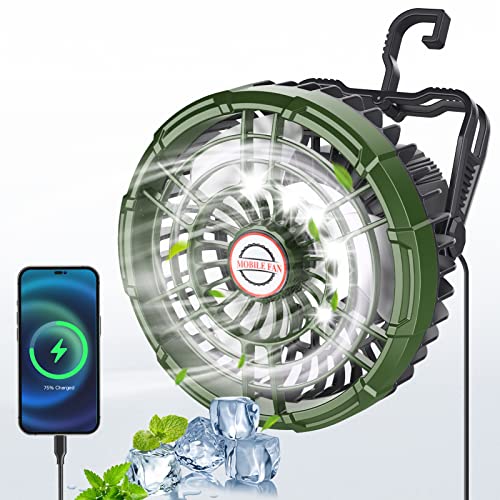 Portable Camping Fan with LED Lantern