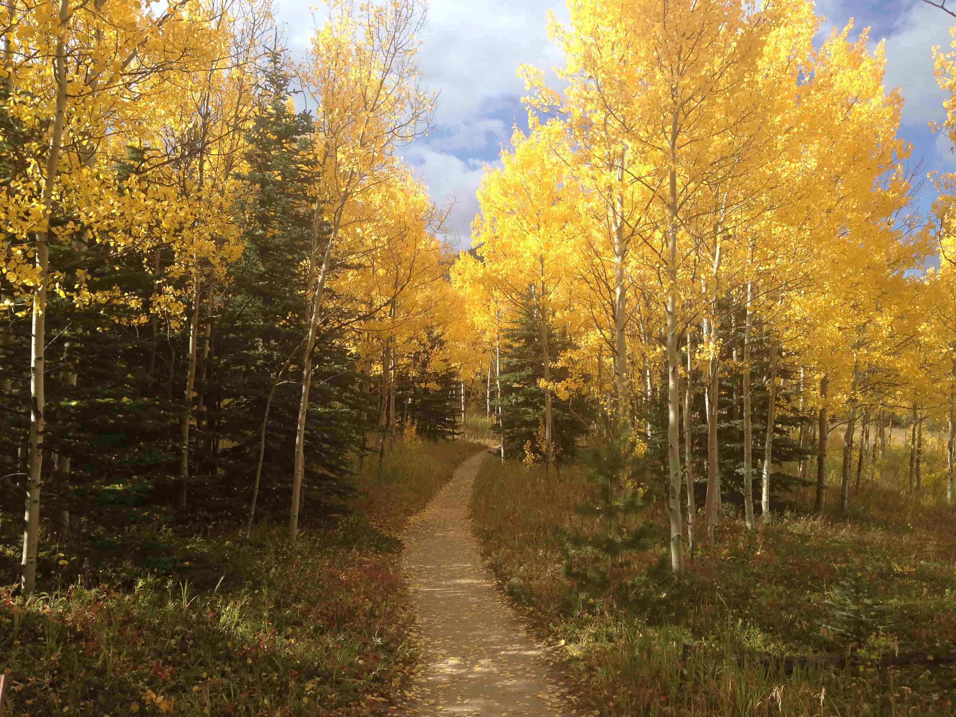 A Trail Guide For Golden Gate Canyon State Park  TouristSecrets