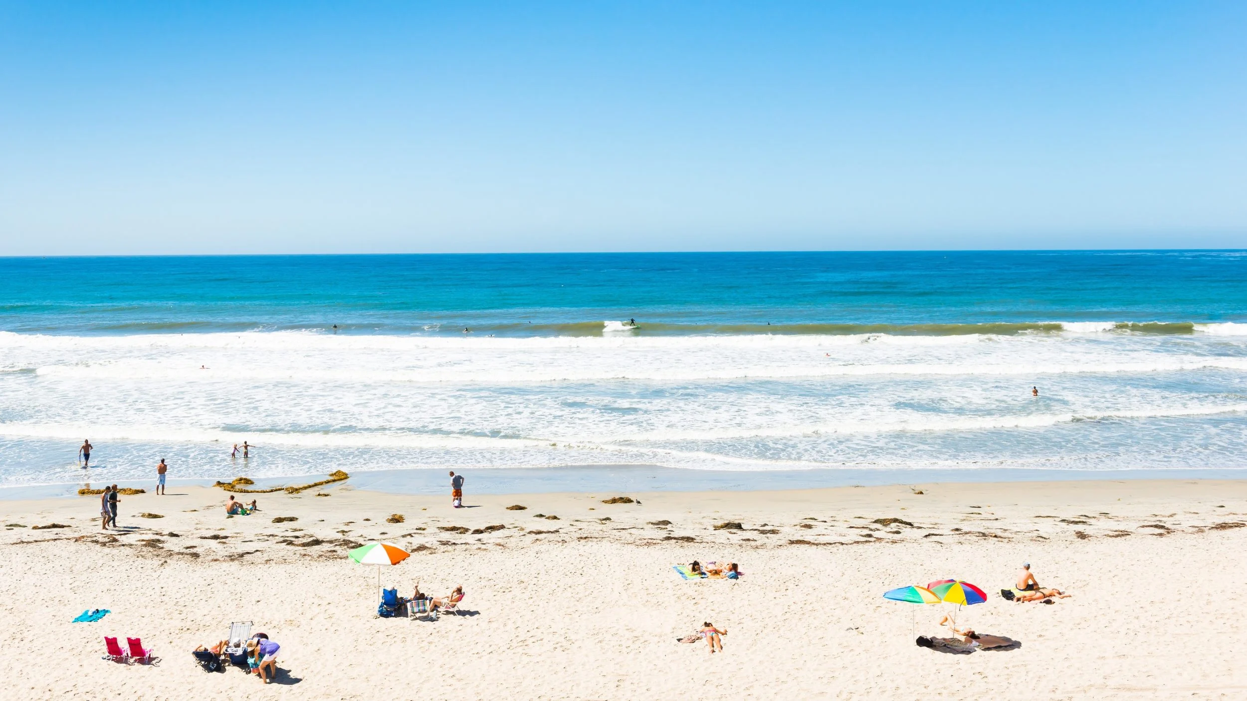 Best Beaches in San Diego for Families, Dogs, & Surfing | TouristSecrets